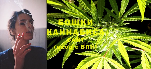 дурь Аркадак