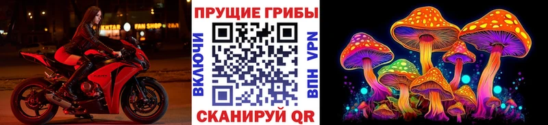 omg ССЫЛКА  Славск  Галлюциногенные грибы прущие грибы 